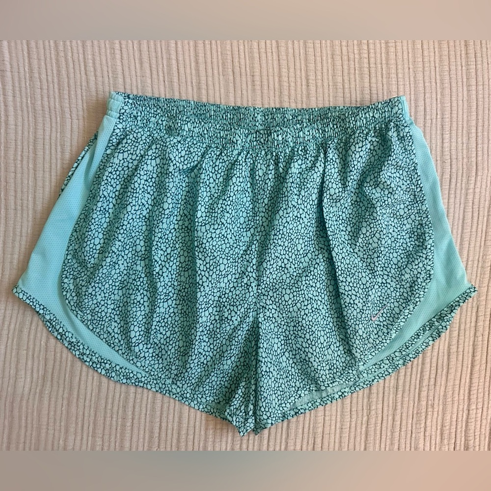 Nike Athletic Dry-Fit Shorts Soft Fabric